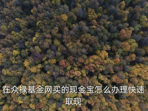 現(xiàn)金寶怎么取現(xiàn)，在眾祿基金網(wǎng)買的現(xiàn)金寶怎么辦理快速取現(xiàn)