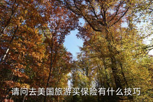 在美國怎么買保險避稅，請問去美國旅游買保險有什么技巧