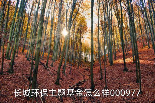 長城環(huán)保主題基金怎么樣000977