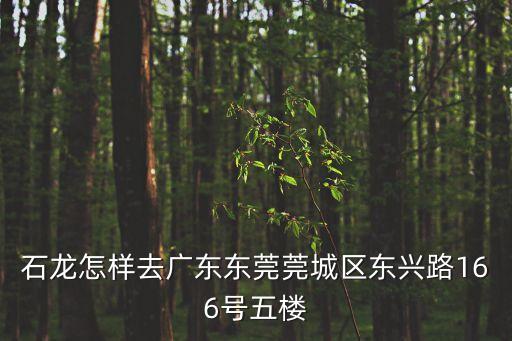石龍?jiān)鯓尤V東東莞莞城區(qū)東興路166號五樓