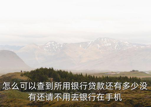 怎么查還有多少貸款，怎么可以查到所用銀行貸款還有多少沒有還請不用去銀行在手機