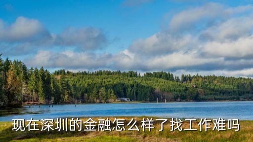 深圳金融行業(yè)怎么樣，現(xiàn)在在深圳做金融行業(yè)行不行問一下