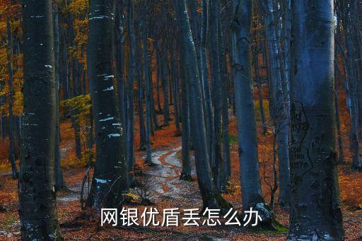 網(wǎng)上銀行的優(yōu)盾丟了怎么辦，我家網(wǎng)上銀行的那個U盾不見了怎么辦啊