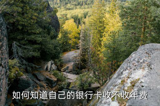 怎么確定銀行卡有年費(fèi)，如何知道自己的銀行卡收不收年費(fèi)
