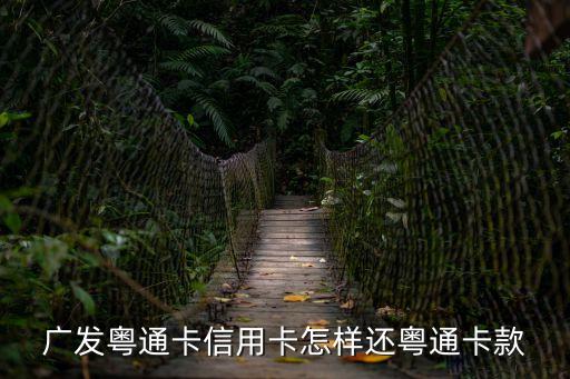廣發(fā)粵通卡怎么樣，廣發(fā)粵通卡 全國高速通用嗎非ETC