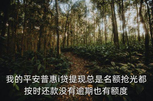 我的平安普惠i貸提現(xiàn)總是名額搶光都按時(shí)還款沒有逾期也有額度