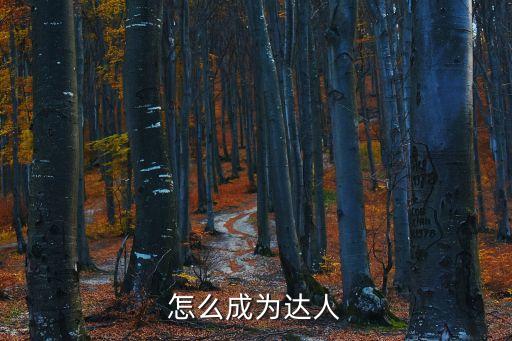 怎么成為達(dá)人