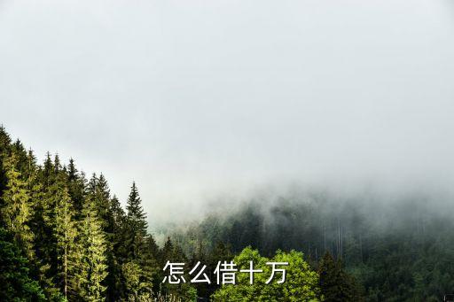 怎么借十萬