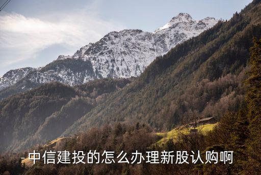 中信建投怎么申購新股，中信建投交易軟件如何申購新股