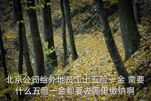 北京公司給外地員工上五險(xiǎn)一金 需要什么五險(xiǎn)一金都要去哪里繳納啊