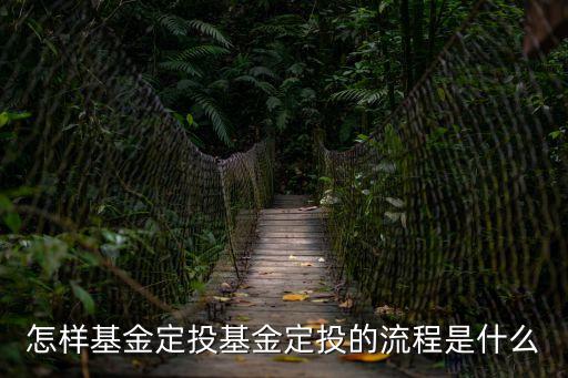怎樣基金定投基金定投的流程是什么