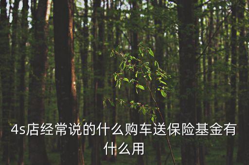 三益博雅福特購車基金怎么用，驗(yàn)資后的資金可以用來購車嗎我的車是去年買的我怎樣做賬