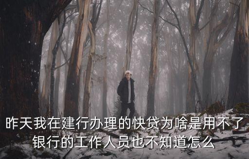 昨天我在建行辦理的快貸為啥是用不了銀行的工作人員也不知道怎么