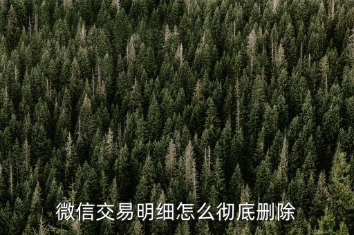 微信交易明細(xì)怎么徹底刪除
