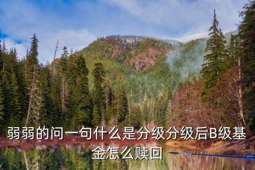 弱弱的問(wèn)一句什么是分級(jí)分級(jí)后B級(jí)基金怎么贖回