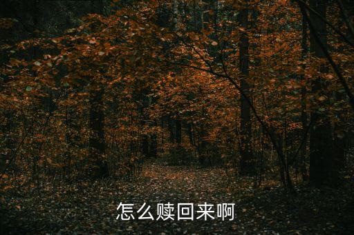怎么贖回安信天利寶，怎么贖回來啊