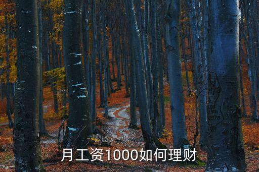 月薪1000怎么投資理財(cái)，月薪千元怎樣理財(cái)啊