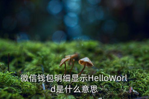 微信錢(qián)包明細(xì)顯示HelloWorld是什么意思