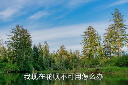 無法使用花唄怎么辦，花唄用不了了怎么辦