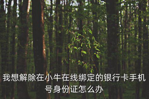 我想解除在小牛在線綁定的銀行卡手機(jī)號(hào)身份證怎么辦