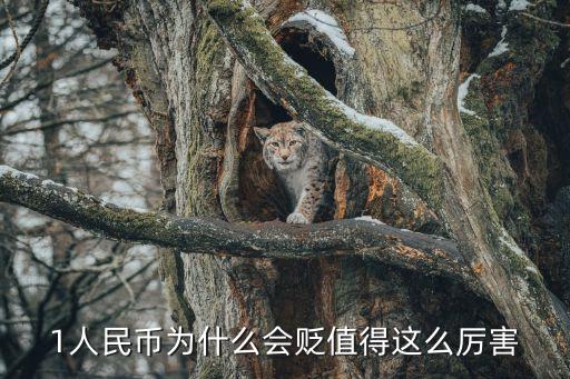 1人民幣為什么會貶值得這么厲害