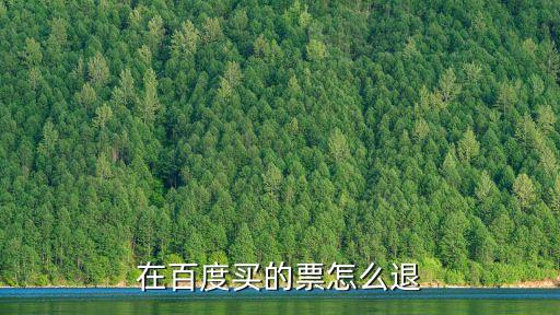 在百度買的票怎么退