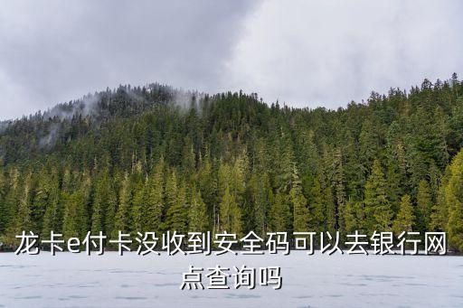 建行龍卡e付卡怎么查詢，什么情況建行龍卡e付卡還未收到信用卡賬號但已顯示額度怎樣