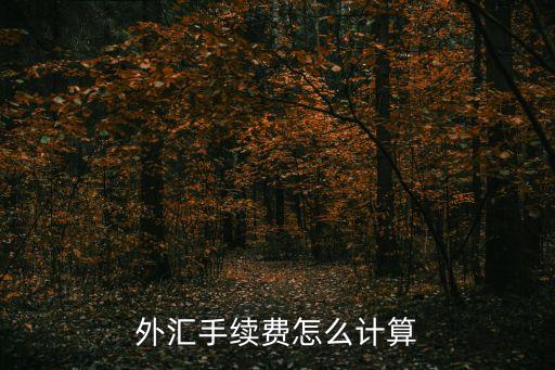 外匯交易費(fèi)怎么算，炒外匯手續(xù)費(fèi)是怎么算的大概要多少錢(qián)