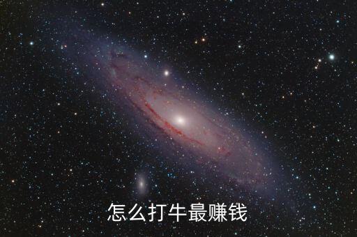 怎么打牛最賺錢