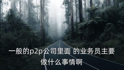 一般的p2p公司里面 的業(yè)務員主要做什么事情啊