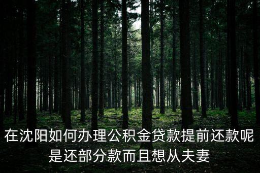 在沈陽如何辦理公積金貸款提前還款呢是還部分款而且想從夫妻