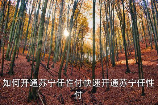 如何開通蘇寧任性付快速開通蘇寧任性付