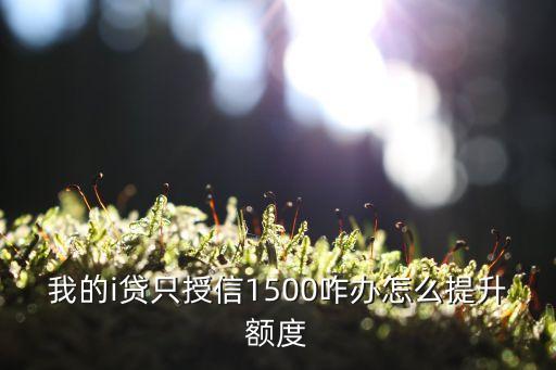 我的i貸只授信1500咋辦怎么提升額度