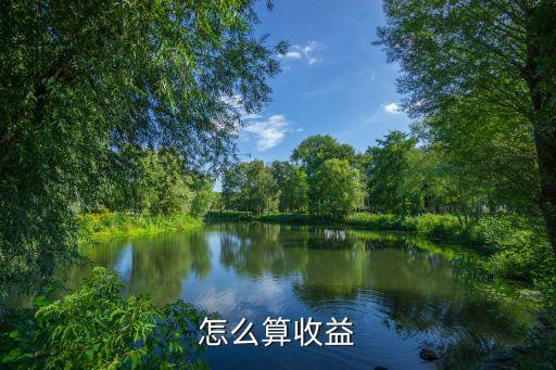 收益是怎么算的，收益率是怎么算出來的