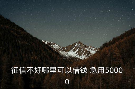 征信不好哪里可以借錢 急用50000