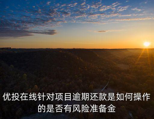優(yōu)投金服怎么使用，優(yōu)投在線針對項(xiàng)目逾期還款是如何操作的是否有風(fēng)險(xiǎn)準(zhǔn)備金