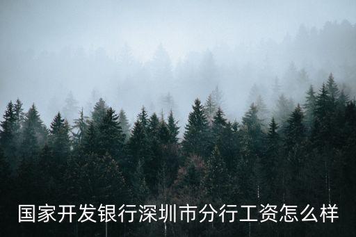 國(guó)家開(kāi)發(fā)銀行待遇怎么樣，國(guó)家開(kāi)發(fā)銀行待遇如何鄭州