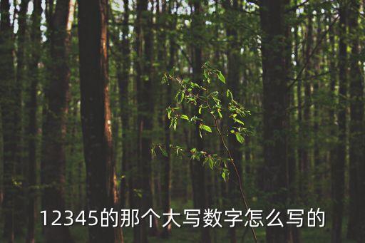 大寫的12345怎么寫，12345大寫