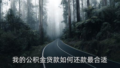 我的公積金貸款如何還款最合適
