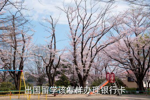 出國(guó)留學(xué)該怎樣辦理銀行卡