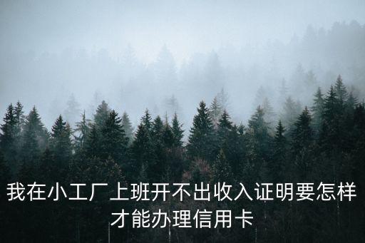 在廠里上班怎么辦信用卡，我是在私企工作的住在工廠宿舍工資3000多想辦張信用卡有