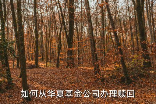 如何從華夏基金公司辦理贖回