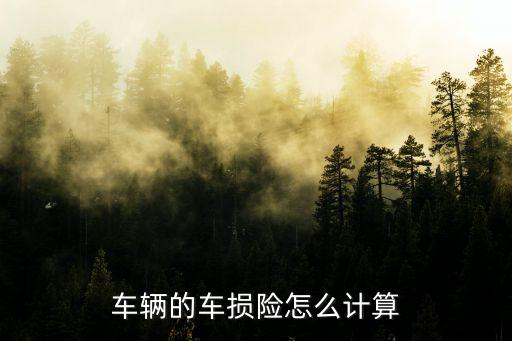 車險中的車損怎么算的，車輛的車損險怎么計算