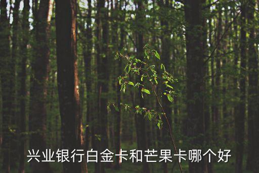 興業(yè)銀行白金卡和芒果卡哪個好