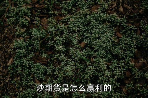 炒期貨是怎么贏利的
