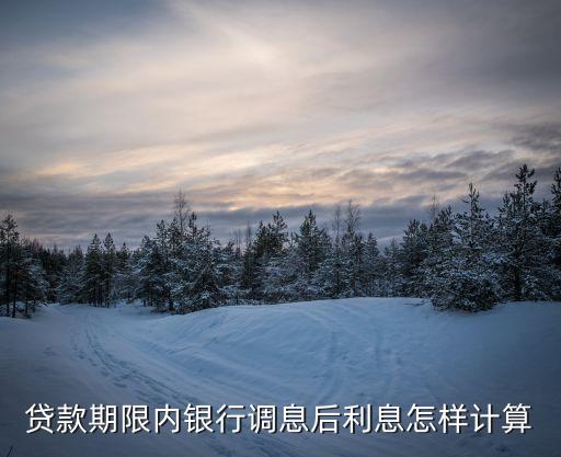 主要貸款利率變動利息怎么算，利率變化后貸款的利息怎么算啊