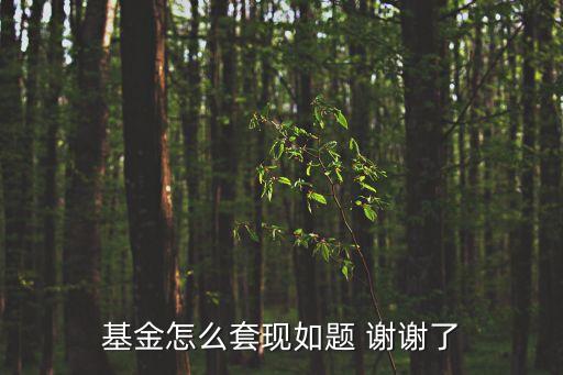 基金怎么套現(xiàn)如題 謝謝了