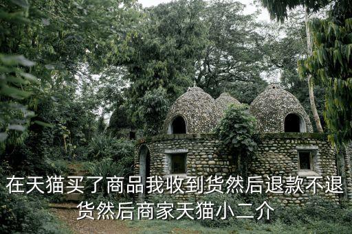 天貓基金理賠后商品怎么辦，在天貓買了商品我收到貨然后退款不退貨然后商家天貓小二介