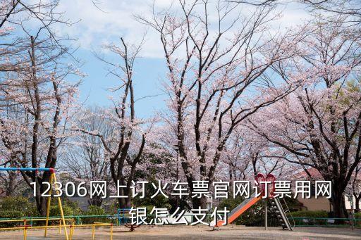 鐵路12306怎么銀聯(lián)在線支付，12306訂票用什么網(wǎng)銀支付方式