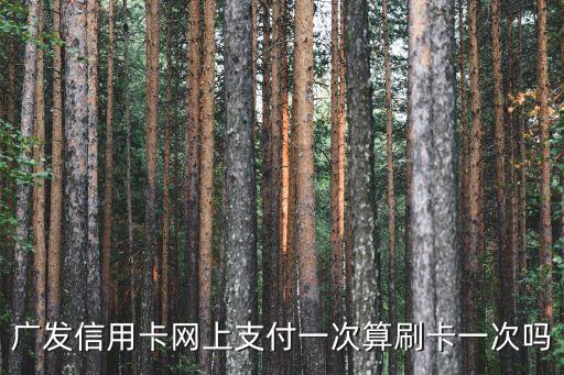 廣發(fā)信用卡網(wǎng)上支付一次算刷卡一次嗎